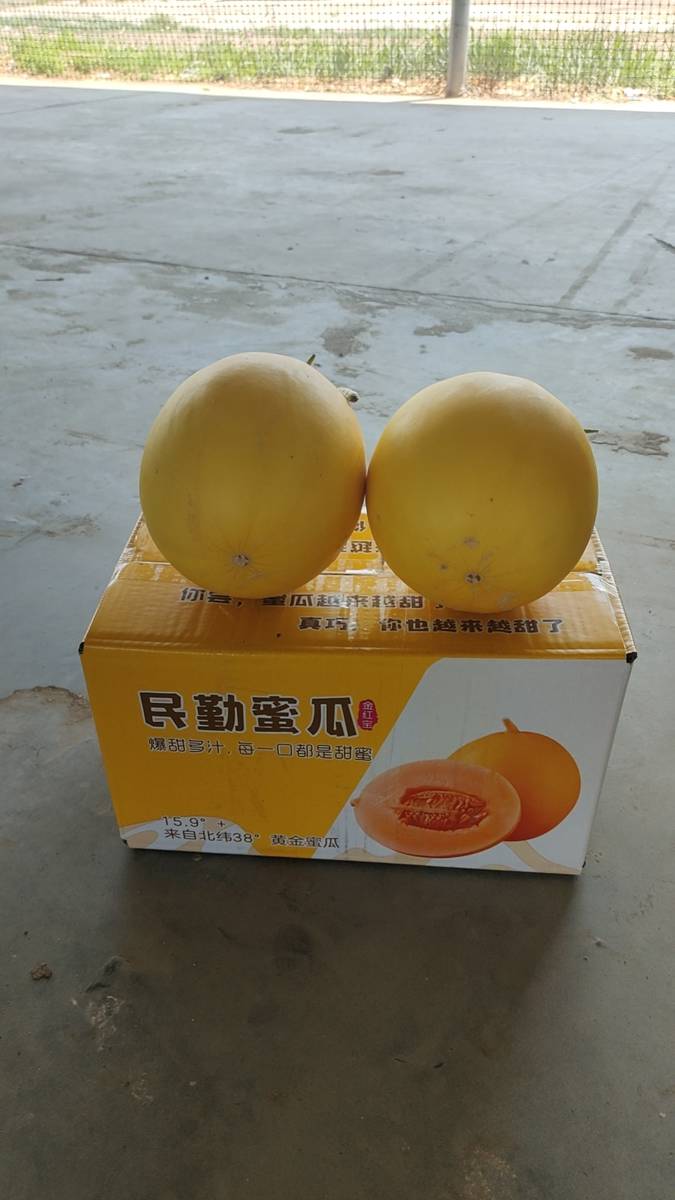 商品图片6